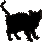 unsere Katzen