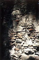 Gehirnkoralle und anderes Material der W&auml;nde