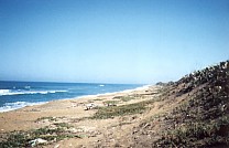 Strand zwischen Veracruz und Alvarado 1
