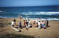 Strand zwischen Veracruz und Alvarado 3