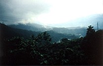 Regenwald auf der Fahrt 6