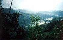 Regenwald auf der Fahrt 7