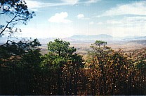 Terra Rossa aus dem Bus heraus