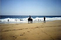 Strand 3