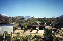 An der Stra&szlig;e nach Ixtapa-Zihuatanejo 1