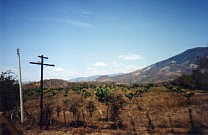 An der Stra&szlig;e nach Ixtapa-Zihuatanejo 2