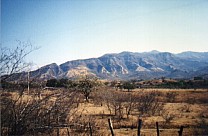 Blick in Richtung Neovolcanico, 10.30 Uhr (2)