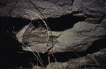 Turbiditstrom Nahaufnahme