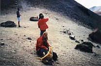 Hund und Andrea am Krater