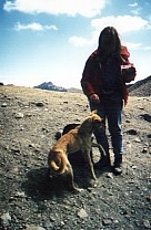 Hund und Andrea nochmal