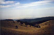 Blick vom Berg 2