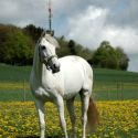 Bild 32