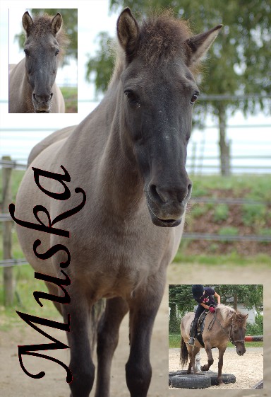 Muska