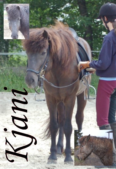 Kjani