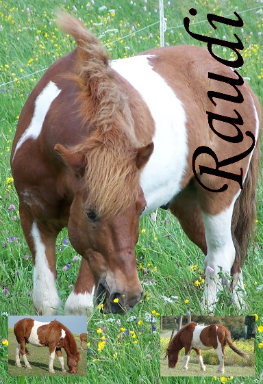 Raudi