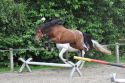 Bild 178