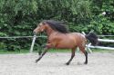 Bild 181
