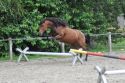 Bild 182