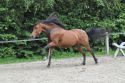 Bild 183