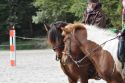 Bild 194