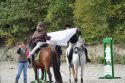 Bild 195