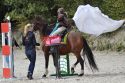Bild 196