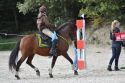 Bild 197