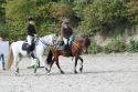 Bild 199
