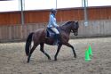 Bild 201