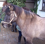 Menja