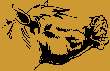 01_flehm.gif