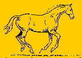 canter.gif