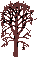 Rotbuche
