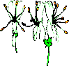 Lonicera xylosteum (verändert aus Rothmaler)